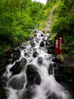 救援鹦鹉